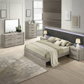 Roundhill Furniture Lenca LED Wallbed with Nightstands, Dresser, Mirror, and Chest - Weathered Gray